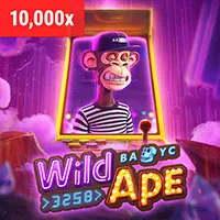 Chính sách Cookie của King79
